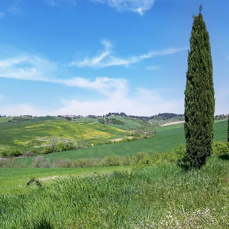 Cosy In Toscana With Outdoor Swimming Pool Holiday home Peccioli