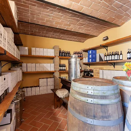 Cosy In Toscana With Outdoor Swimming Pool Holiday home