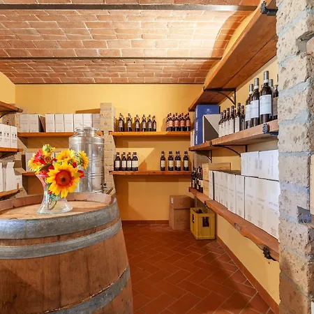 Cosy In Toscana With Outdoor Swimming Pool