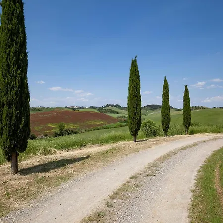 Holiday home Cosy In Toscana With Outdoor Swimming Pool