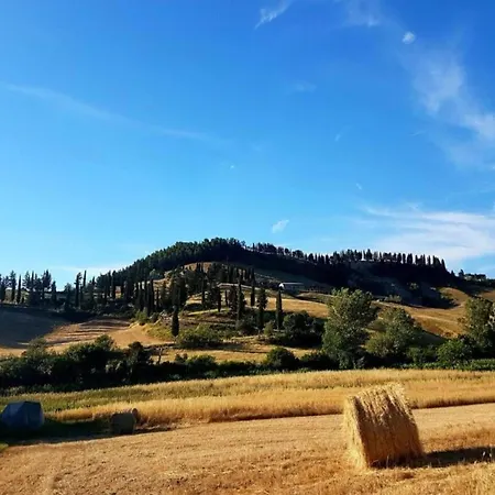 度假居 Cosy In Toscana With Outdoor Swimming Pool