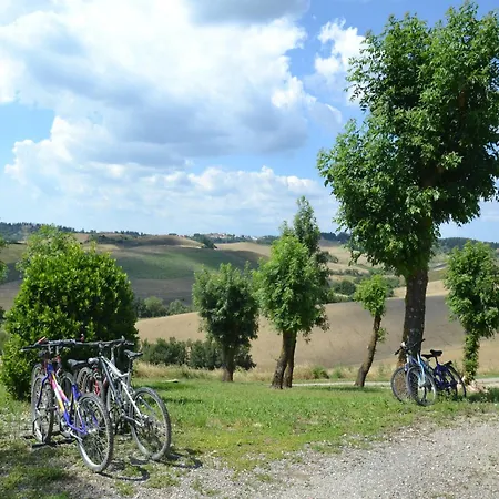 Cosy In Toscana With Outdoor Swimming Pool * Peccioli