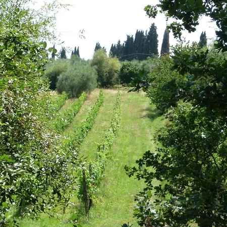 Дом отдыха Cosy In Toscana With Outdoor Swimming Pool Peccioli