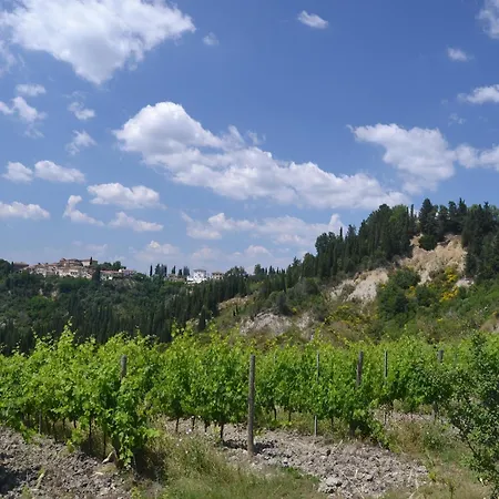 Cosy In Toscana With Outdoor Swimming Pool Peccioli